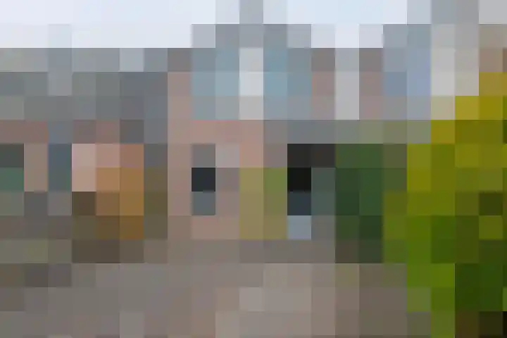 Klein Frankrijk 5 Zuidhorn thumbnail 5