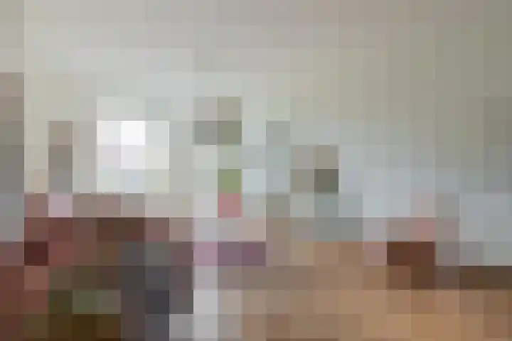 Klein Frankrijk 5 Zuidhorn thumbnail 8
