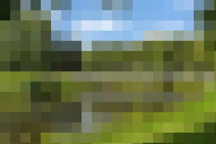 Klein Grachtje 11 Zwolle thumbnail 21