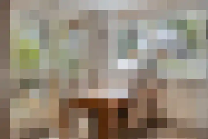 Klein Grachtje 9 Zwolle thumbnail 10