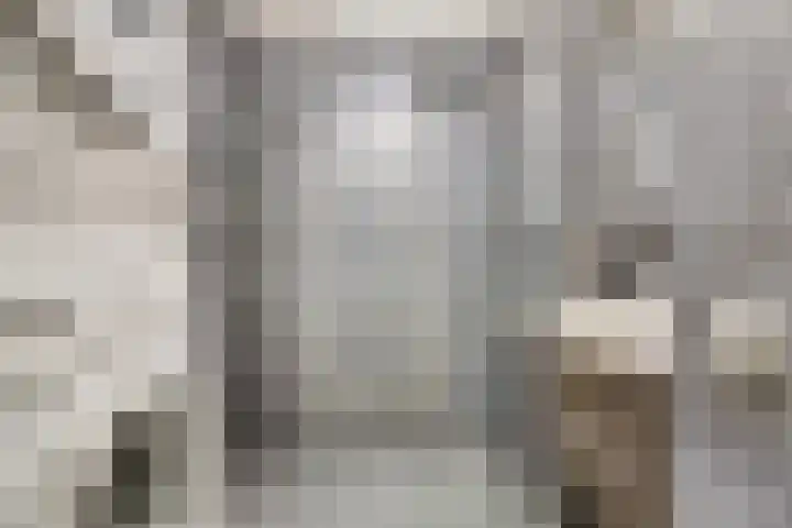 Klein Grachtje 9 Zwolle thumbnail 16
