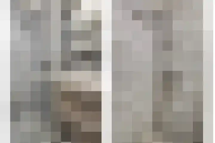 Klein Grachtje 9 Zwolle thumbnail 17
