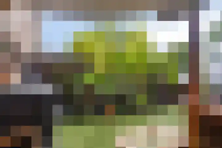 Klein Grachtje 9 Zwolle thumbnail 18
