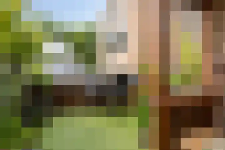 Klein Grachtje 9 Zwolle thumbnail 19