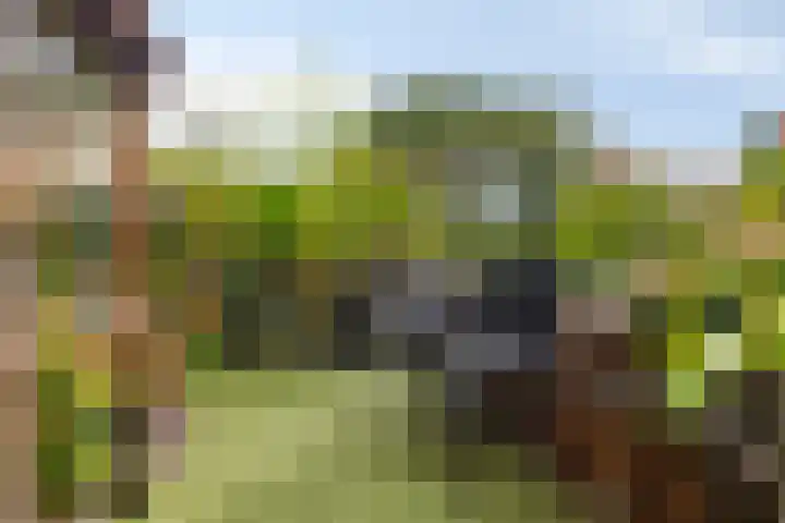 Klein Grachtje 9 Zwolle thumbnail 20