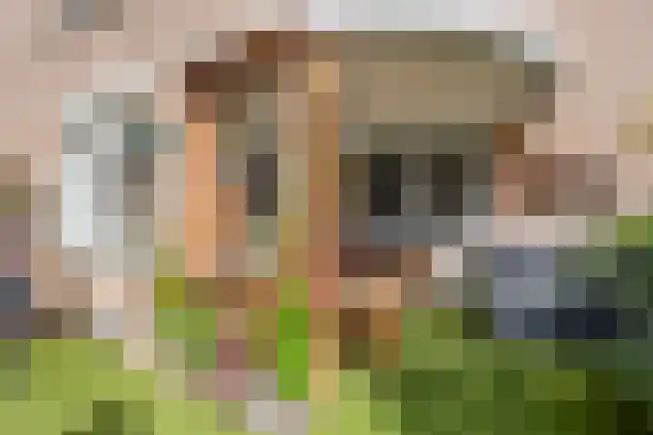 Klein Grachtje 9 Zwolle thumbnail 21