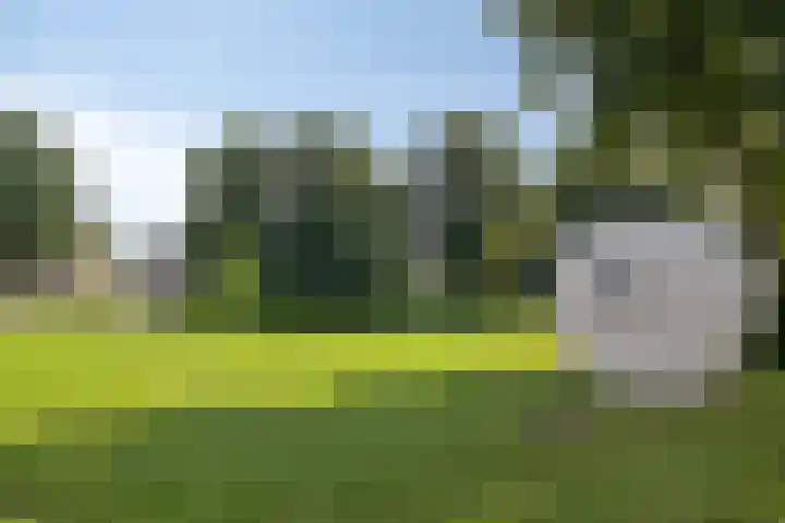 Klein Grachtje 9 Zwolle thumbnail 25