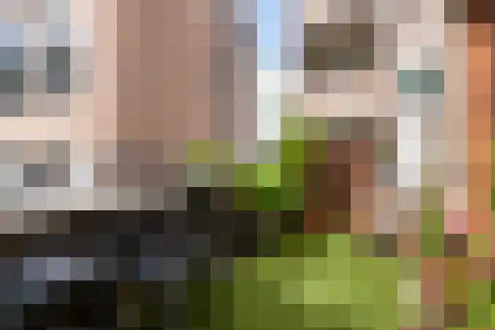 Klein Grachtje 9 Zwolle thumbnail 4