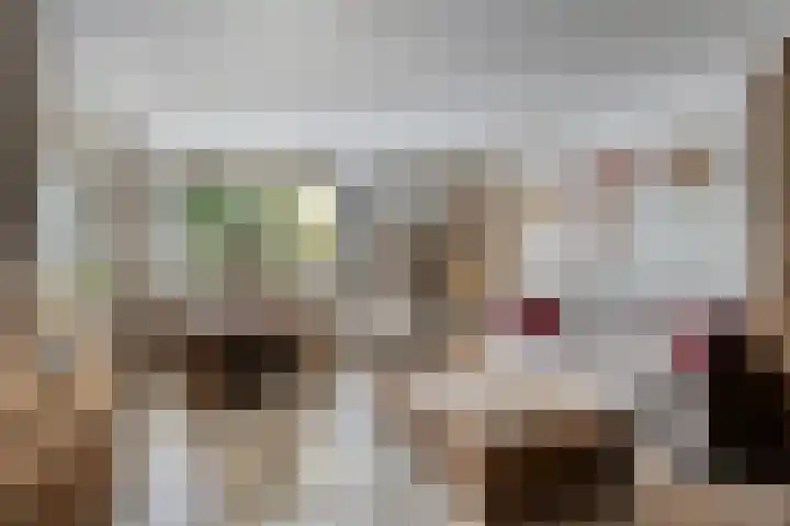 Klein Grachtje 9 Zwolle thumbnail 8