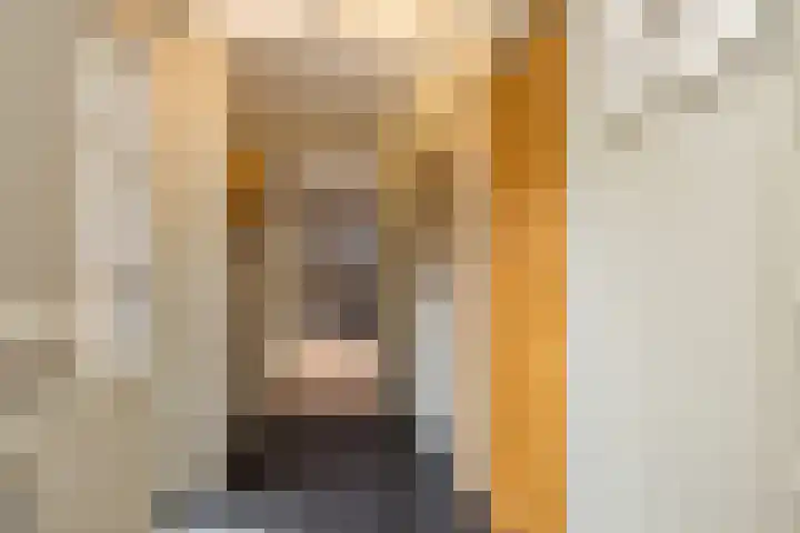 Klein-Haasdal 15 Schimmert thumbnail 12