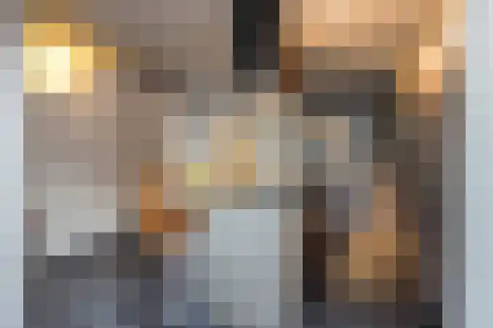 Klein-Haasdal 15 Schimmert thumbnail 14