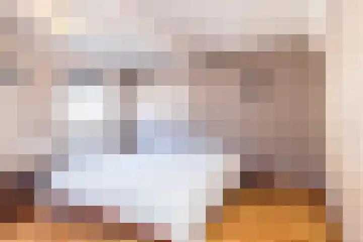 Klein-Haasdal 15 Schimmert thumbnail 19