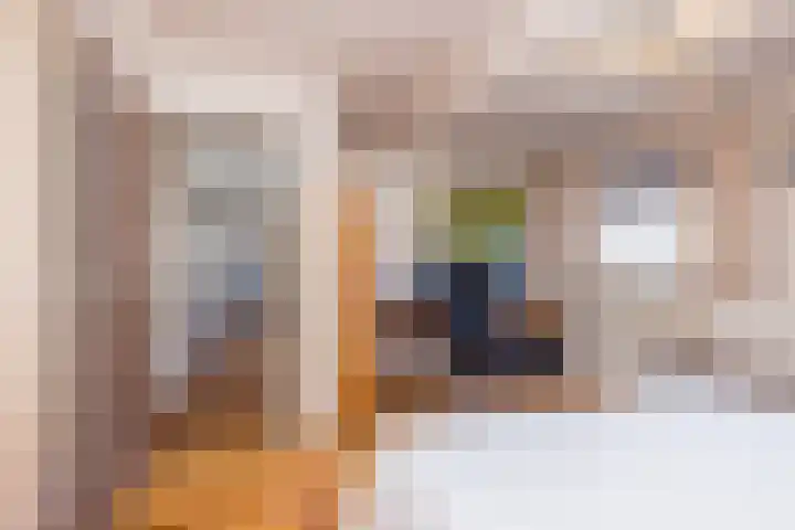 Klein-Haasdal 15 Schimmert thumbnail 20