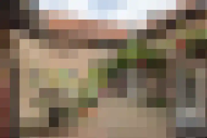 Klein-Haasdal 15 Schimmert thumbnail 27