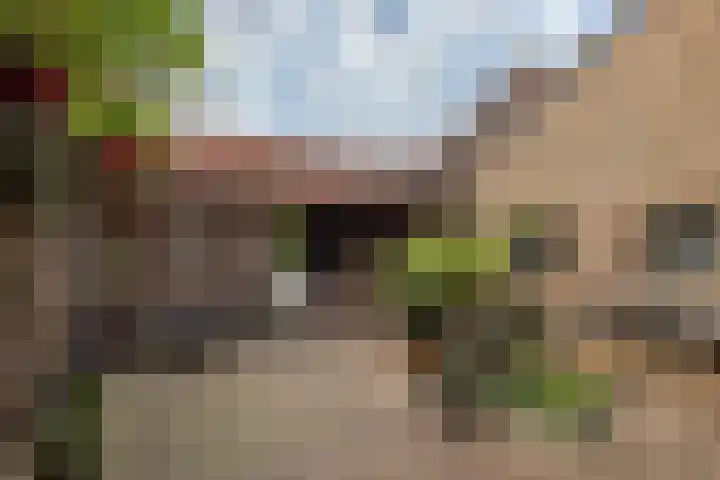 Klein-Haasdal 15 Schimmert thumbnail 28