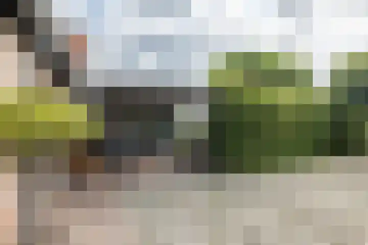 Klein-Haasdal 15 Schimmert thumbnail 30