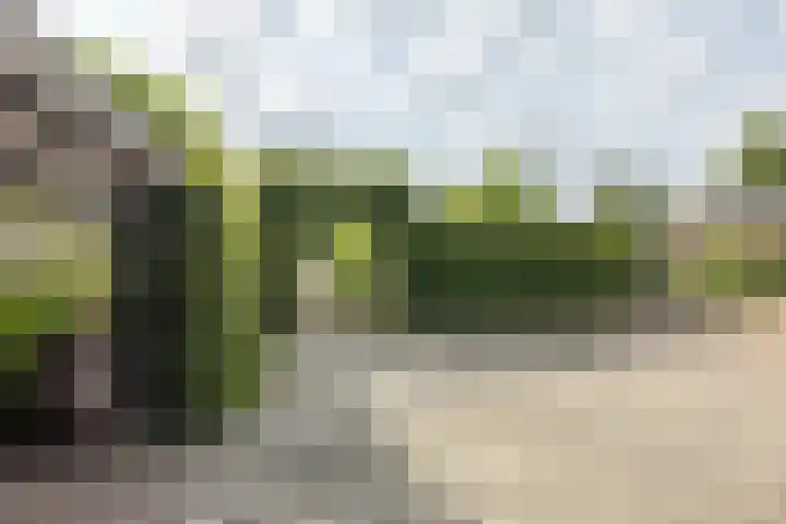 Klein-Haasdal 15 Schimmert thumbnail 32