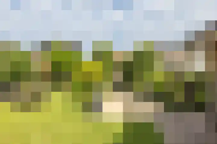 Klein-Haasdal 15 Schimmert thumbnail 35
