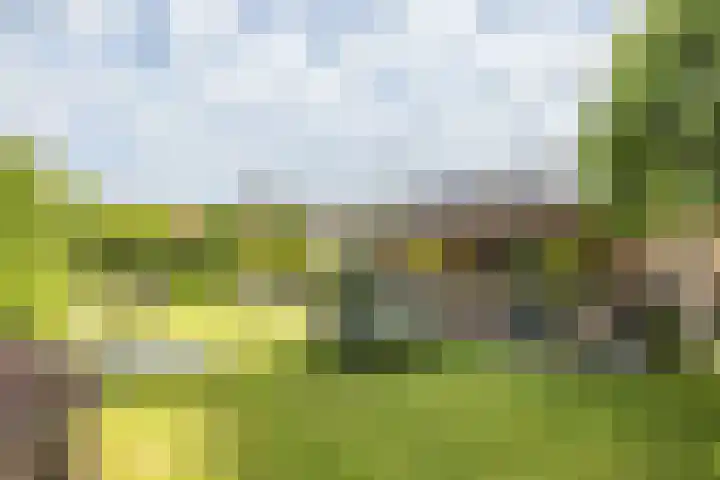 Klein-Haasdal 15 Schimmert thumbnail 37