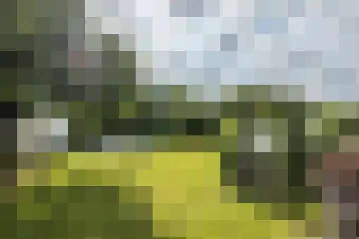 Klein-Haasdal 15 Schimmert thumbnail 39