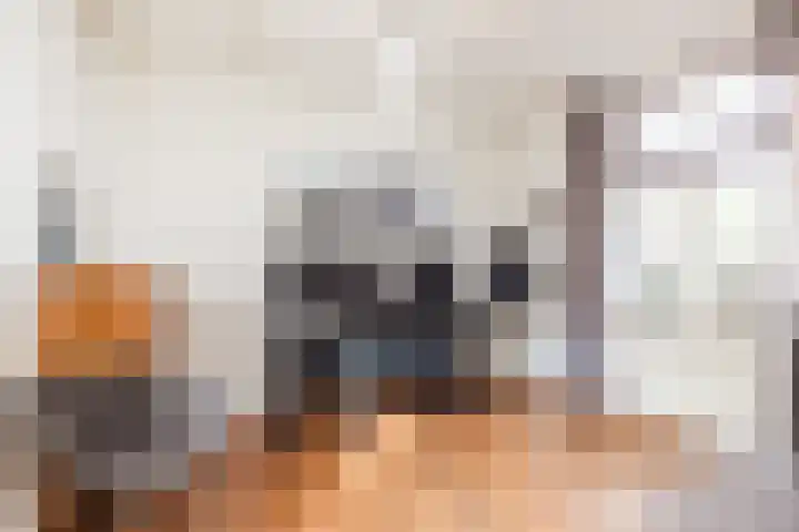 Klein-Haasdal 15 Schimmert thumbnail 6