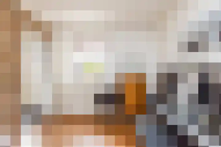 Klein-Haasdal 15 Schimmert thumbnail 7