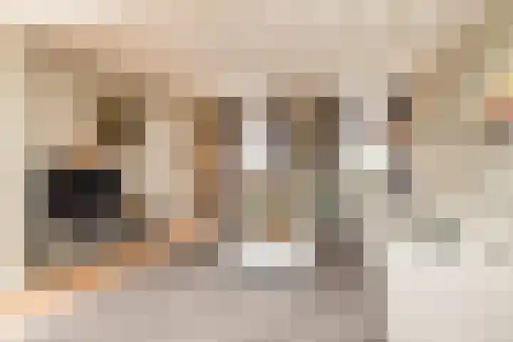 Klein-Haasdal 15 Schimmert thumbnail 8