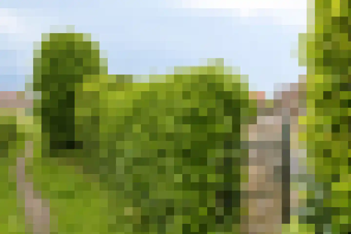 Klein-Haasdal 18 a Schimmert thumbnail 47