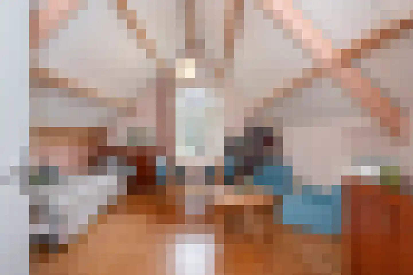 Klein-Haasdal 49 Schimmert thumbnail 28
