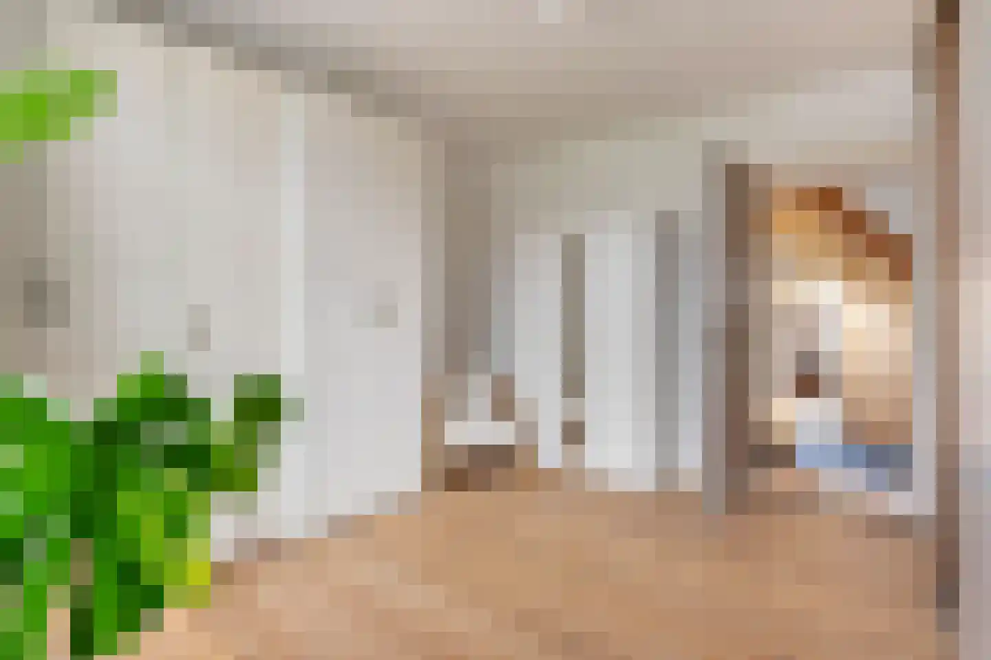 Klein-Haasdal 49 Schimmert thumbnail 36