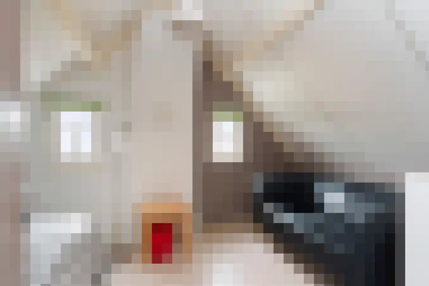 Klein-Haasdal 49 Schimmert thumbnail 39