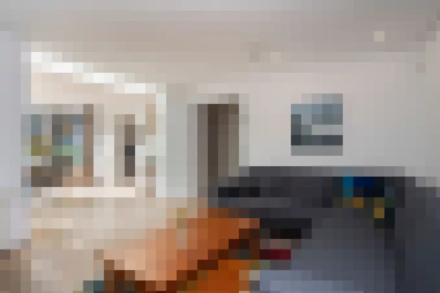 Klein-Haasdal 49 Schimmert thumbnail 4
