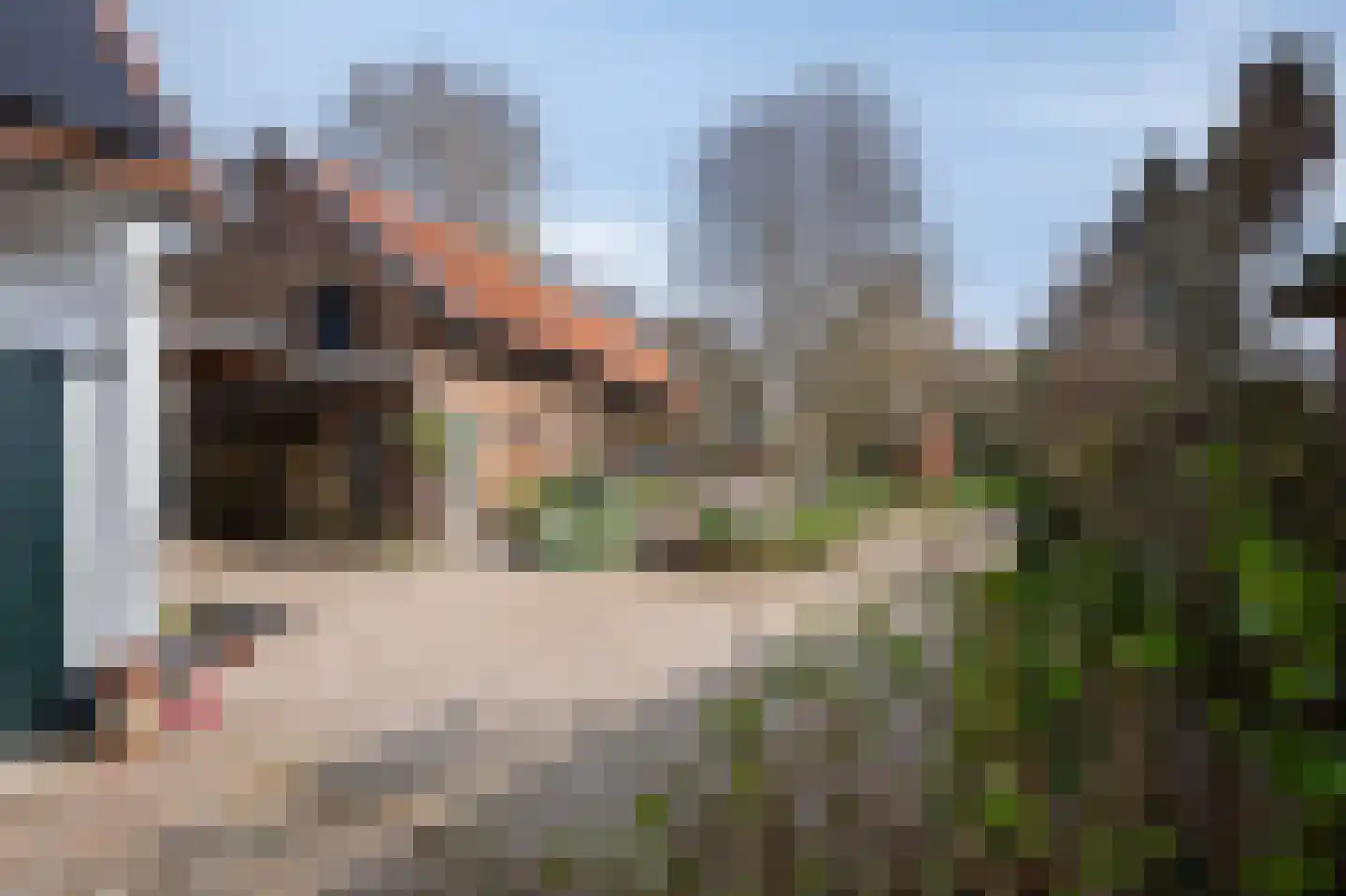 Klein-Haasdal 49 Schimmert thumbnail 45