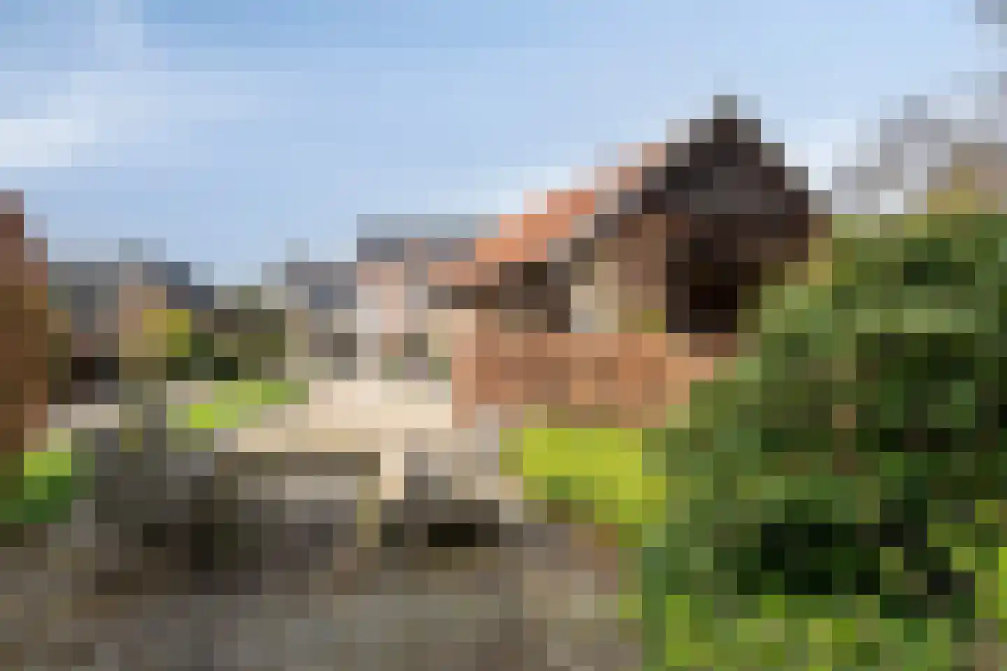 Klein-Haasdal 49 Schimmert thumbnail 50