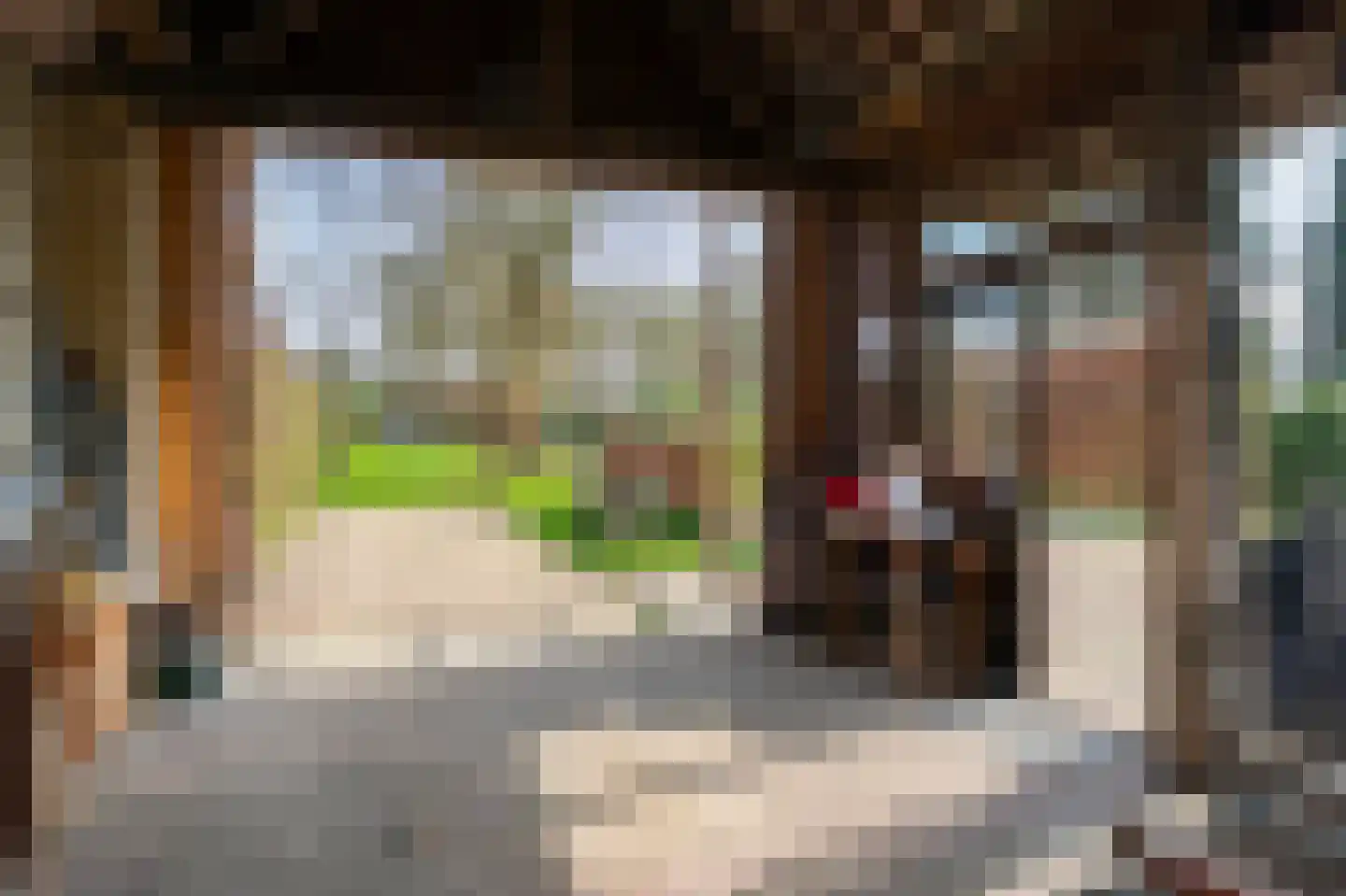 Klein-Haasdal 49 Schimmert thumbnail 51