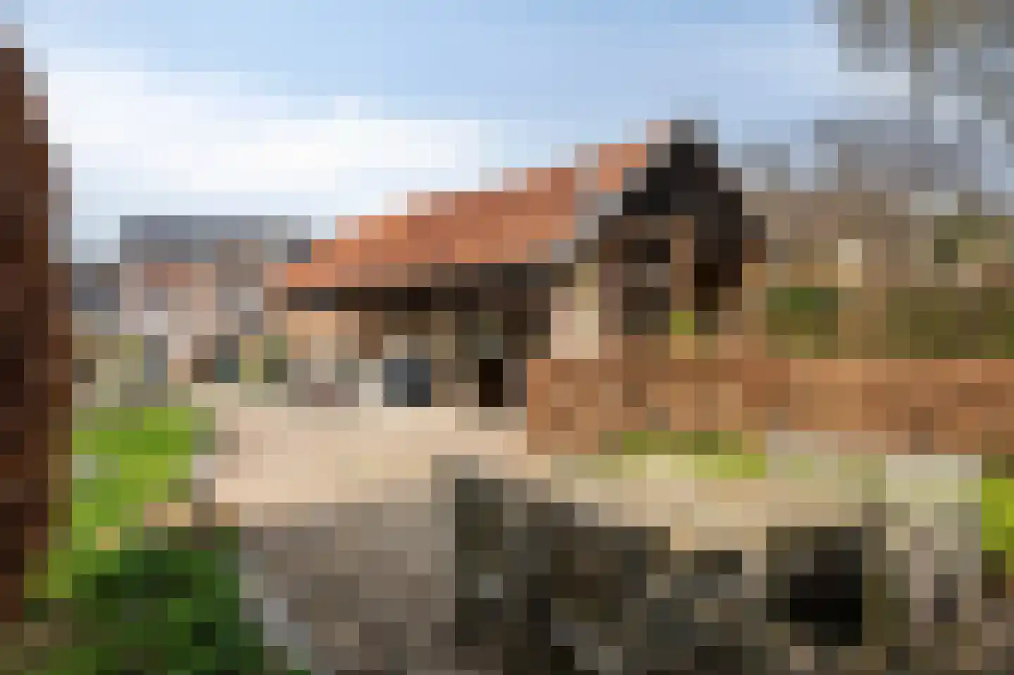 Klein-Haasdal 49 Schimmert thumbnail 53