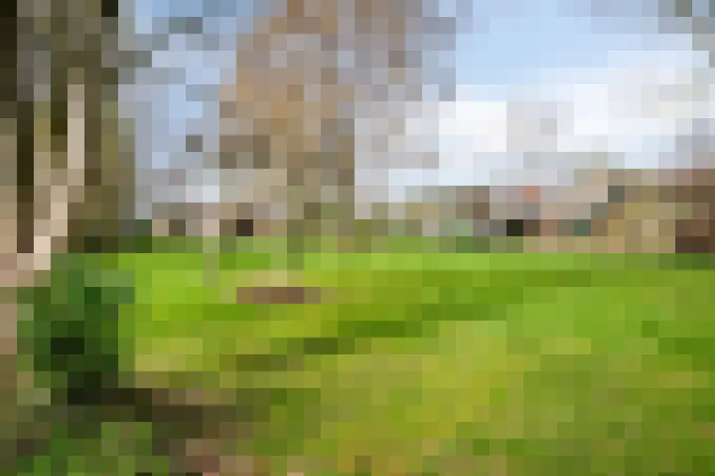 Klein-Haasdal 49 Schimmert thumbnail 55