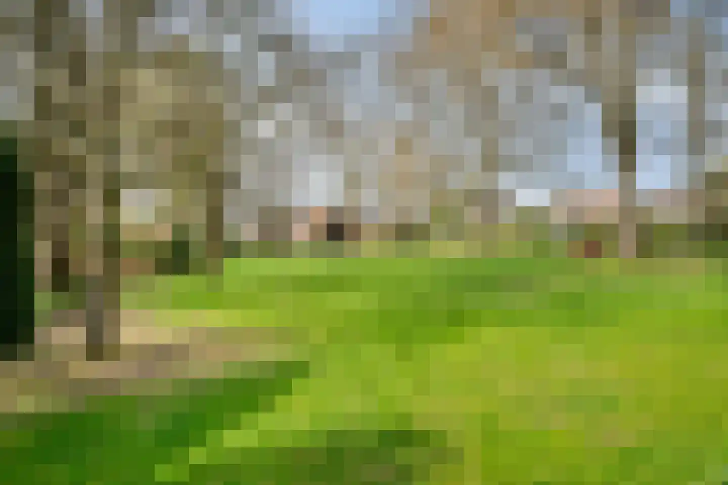 Klein-Haasdal 49 Schimmert thumbnail 56