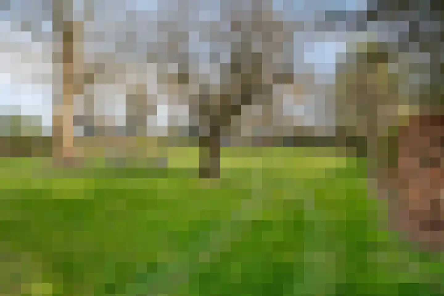 Klein-Haasdal 49 Schimmert thumbnail 57