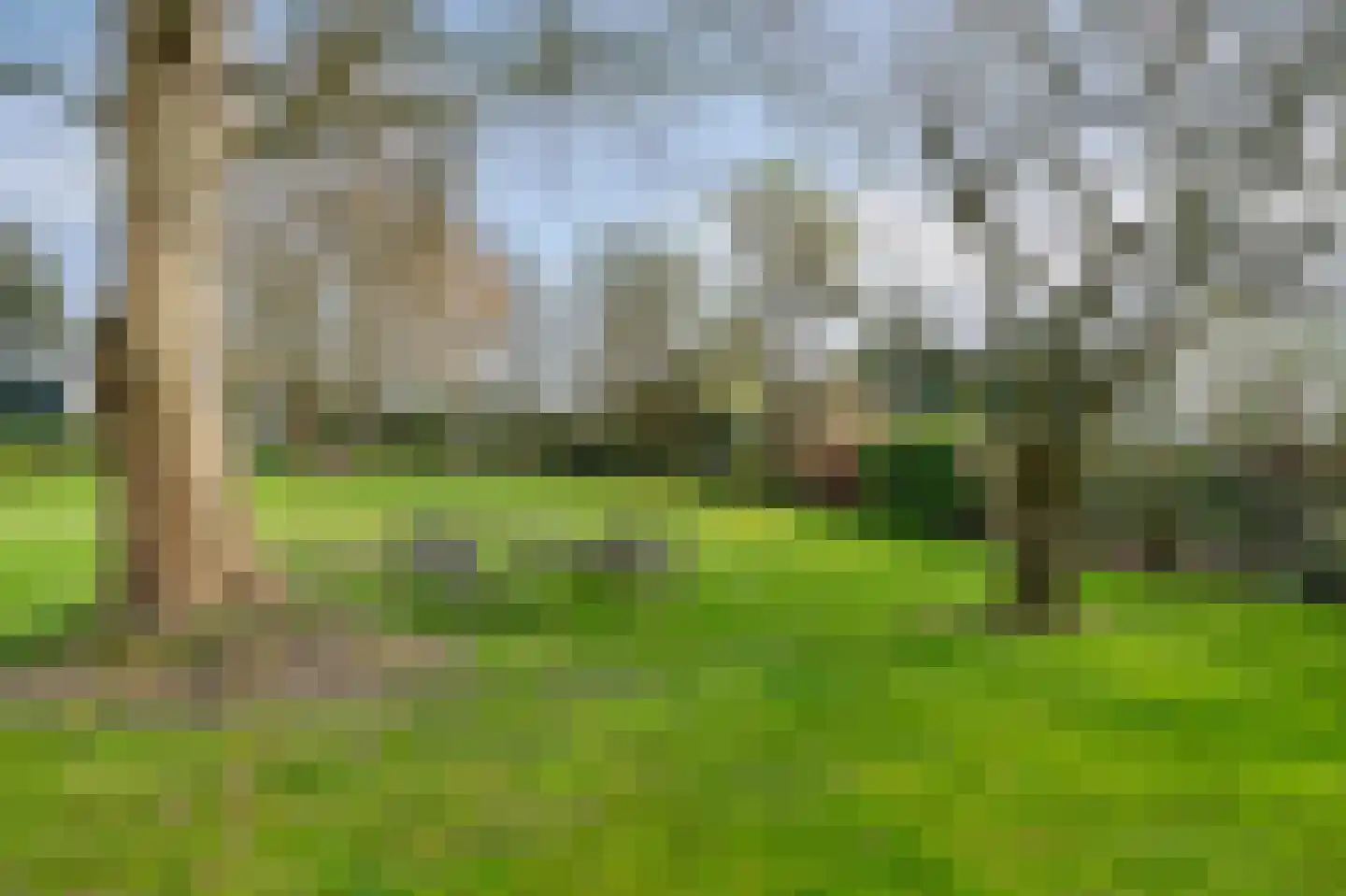 Klein-Haasdal 49 Schimmert thumbnail 58