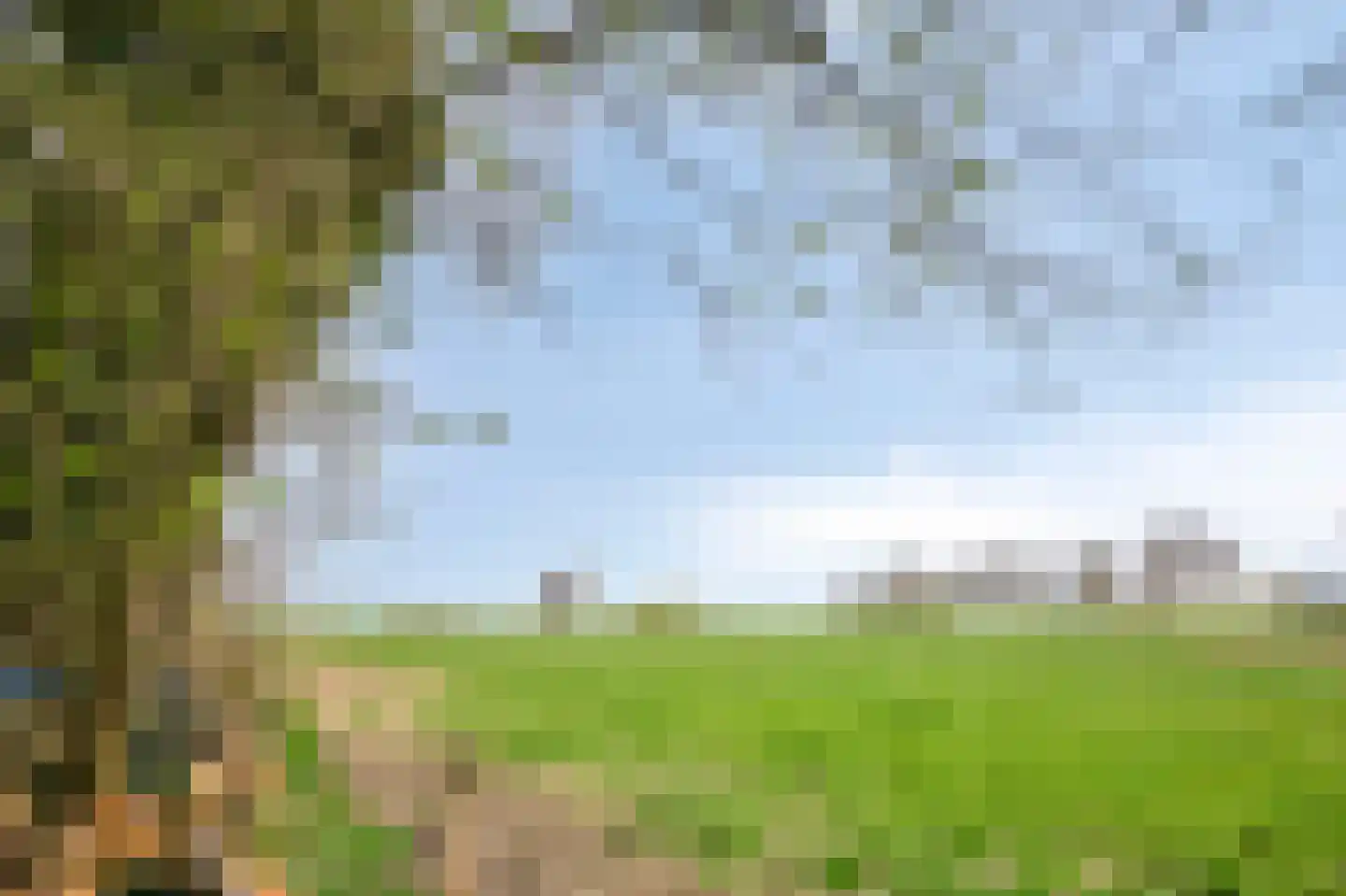 Klein-Haasdal 49 Schimmert thumbnail 59