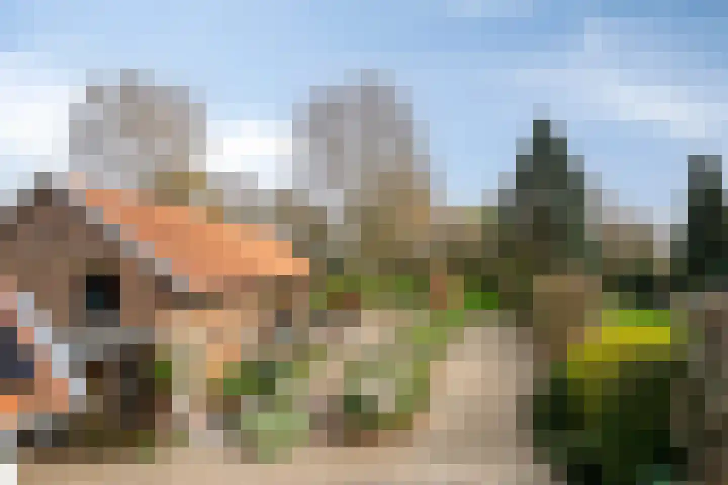 Klein-Haasdal 49 Schimmert thumbnail 60