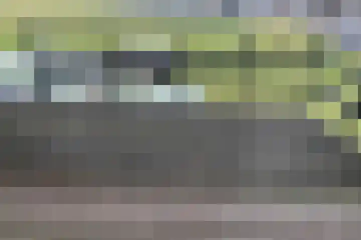 Klein-Haasdal 6 Schimmert thumbnail 17