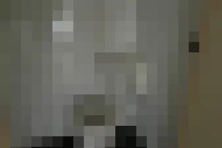 Klein-Haasdal 6 Schimmert thumbnail 20