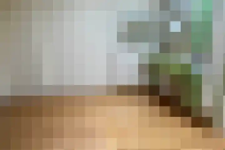 Klein-Haasdal 6 Schimmert thumbnail 22