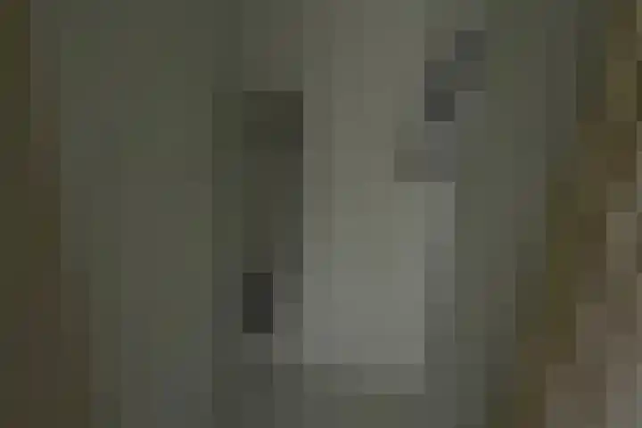 Klein-Haasdal 6 Schimmert thumbnail 24
