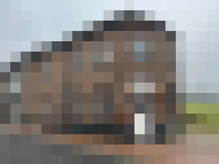 Klein-Haasdal 6 Schimmert thumbnail 26