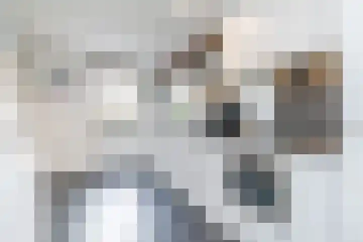 Klein-Haasdal 65 Schimmert thumbnail 11