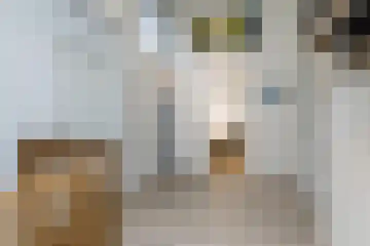 Klein-Haasdal 65 Schimmert thumbnail 13