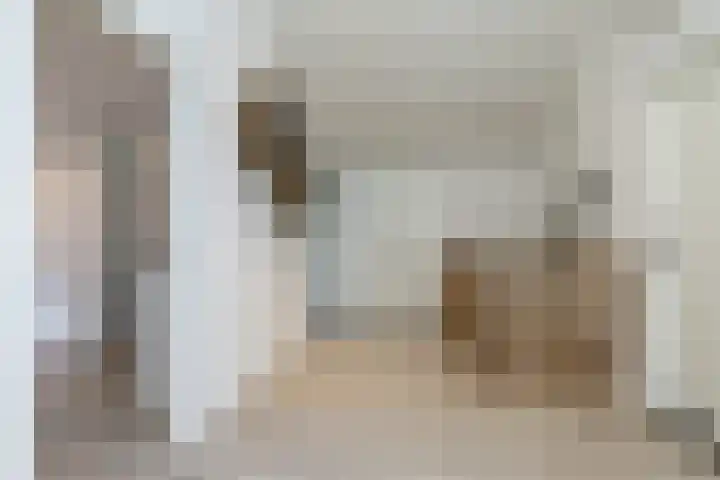 Klein-Haasdal 65 Schimmert thumbnail 14